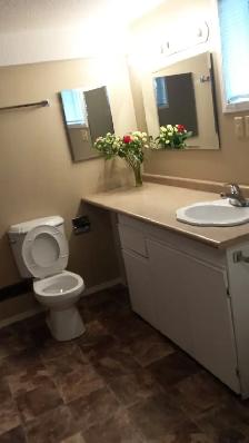 MOUNTVIEW 2BDR LOWER SUITE  MAY 1ST - Photo 10