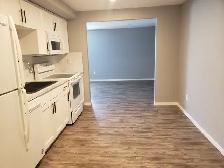 LOOKING FOR THAT SPECIAL SUITE? LOOK NO FURTHER  1BDRM 1 DEN - Photo 4