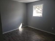 LOOKING FOR THAT SPECIAL SUITE? LOOK NO FURTHER  1BDRM 1 DEN - Photo 10