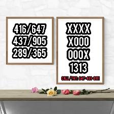 Gta Custom Premium Vip Phone Numbers