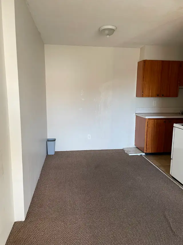 2 BHK near Metrotown - Photo 9