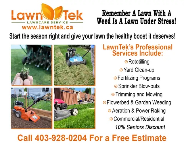 Medicine Hat Homeowners – Ready for a Lawn Makeover?