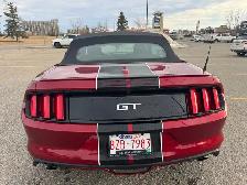 2017 Mustang GT Convertible-5.0 Ltr-Low km’s-Excellent Condition - Photo 2