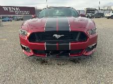 2017 Mustang GT Convertible-5.0 Ltr-Low km’s-Excellent Condition - Photo 3