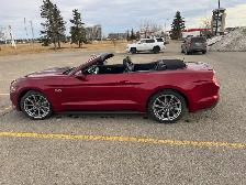 2017 Mustang GT Convertible-5.0 Ltr-Low km’s-Excellent Condition - Photo 4