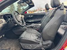 2017 Mustang GT Convertible-5.0 Ltr-Low km’s-Excellent Condition - Photo 6