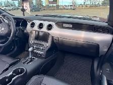 2017 Mustang GT Convertible-5.0 Ltr-Low km’s-Excellent Condition - Photo 8