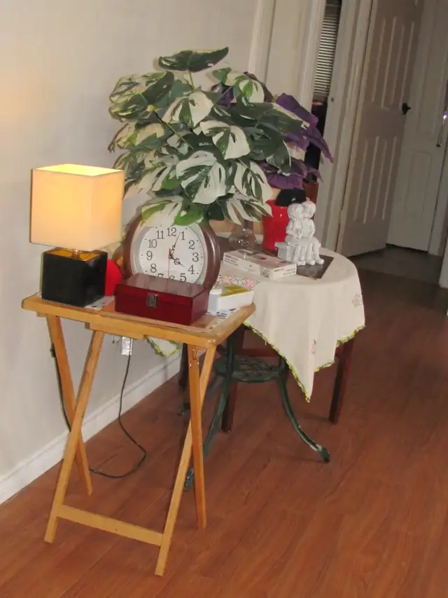 GARAGE SALE- in house. Moving , must sellalmost everything - Photo 5