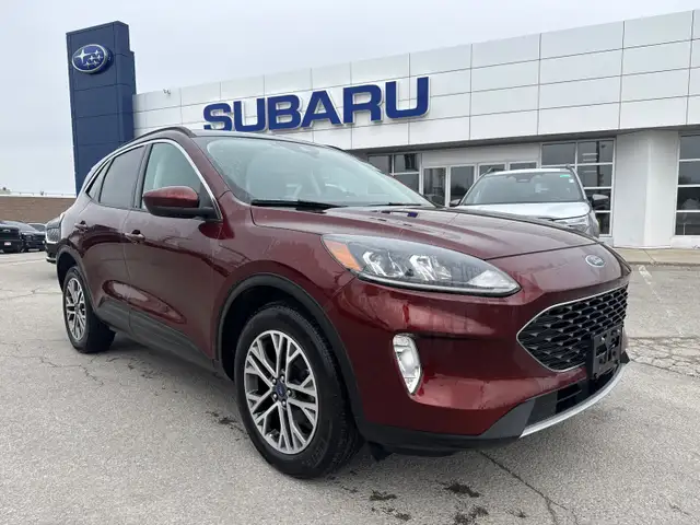 2021 Ford Escape SEL SEL AWD, Leather, Pano Roof!