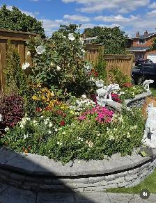 Spring Clean up - Photo 4