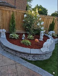 Spring Clean up - Photo 5