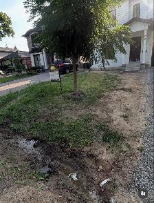 Spring Clean up - Photo 6