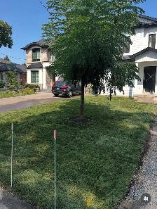 Spring Clean up - Photo 7