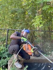 Spring Clean up - Photo 10