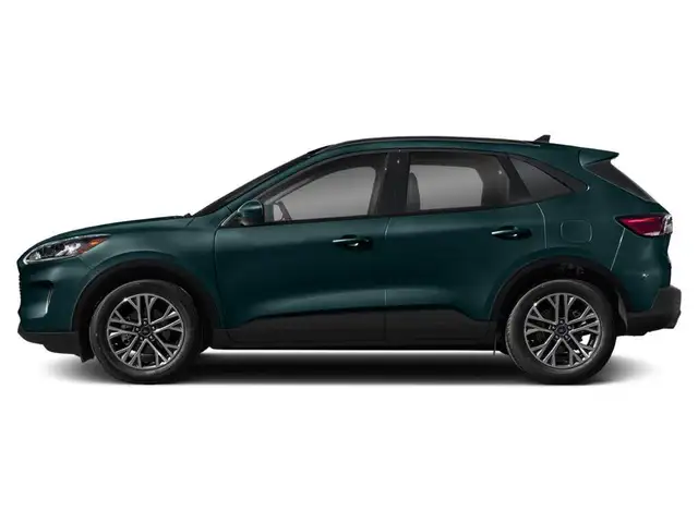 2020 Ford Escape SEL - Heated Leather | Remote Start | Carplay - Photo 3