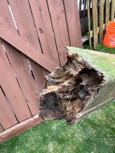 Fence post replacement / Repair. (437) 419-2963