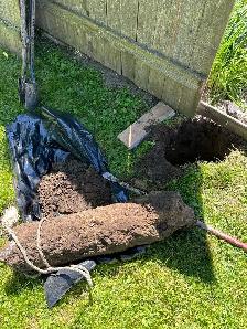 Fence post replacement / Repair. (437) 419-2963 - Photo 3