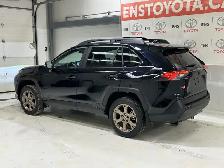 2025 Toyota RAV4 Hybrid XLE - Sunroof - Power Liftgate - Photo 5