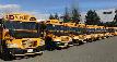 Chauffeur d'autobus scolaire / School Bus driver