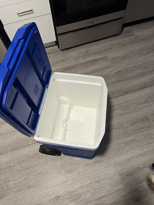 igloo large cooler with hand and wheels - Photo 3
