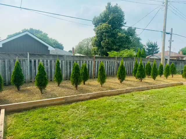 Niagara Landscape Services