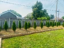 Niagara Landscape Services