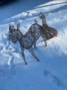 2 Rare Reindeer Plus Hats - Photo 5