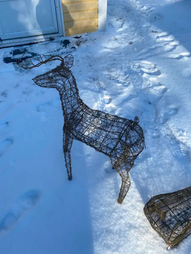 2 Rare Reindeer Plus Hats - Photo 7