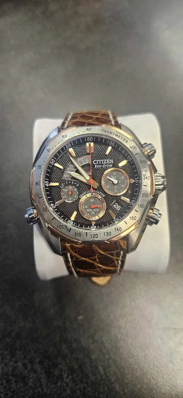 Citizen Eco-Drive Wrist Watch with Crocodile Strap