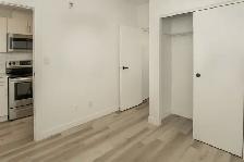 1 Bedroom Apartment! Located In The West Broadway Area! - Photo 8