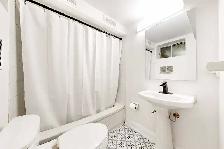 Basement apartment in the Beaches for Rent - Photo 4