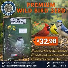 Premium Wild Bird Seed – Attract More Birds to Your Backyard!