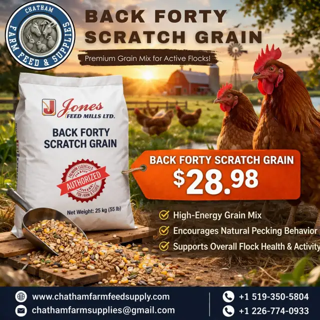 Back Forty Scratch Grain – Natural Energy Boost for Your Flock!