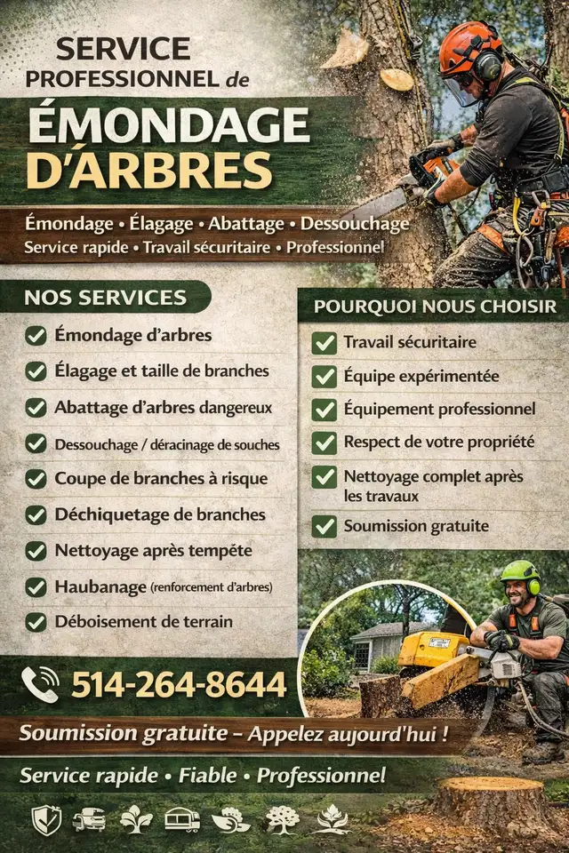 ÉMONDEUR PROFESSIONNEL – COUPE D’ARBRES RAPIDE & SÉCURITAIRE