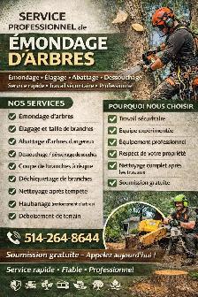 ÉMONDEUR PROFESSIONNEL – COUPE D’ARBRES RAPIDE & SÉCURITAIRE