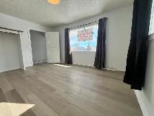 Furniture Room for rent at Center St