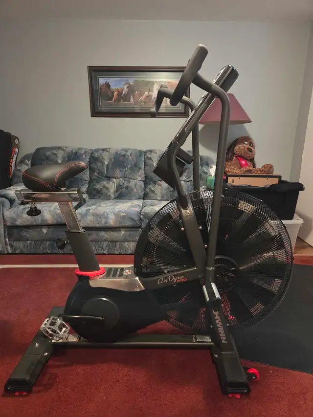 Schwinn Fitness Airdyne Pro Bike