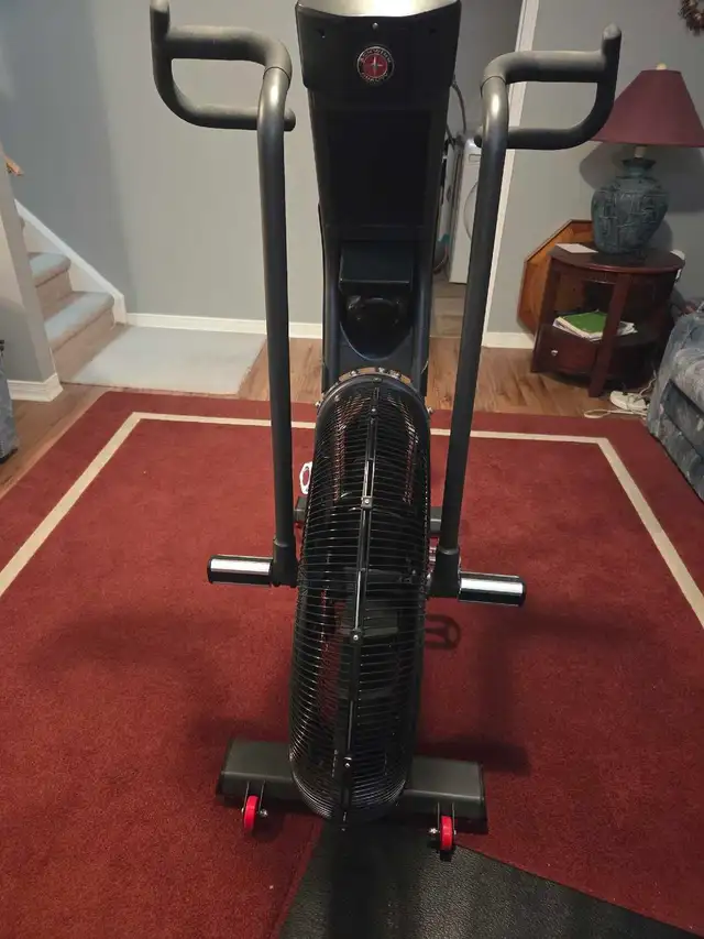 Schwinn Fitness Airdyne Pro Bike - Photo 2