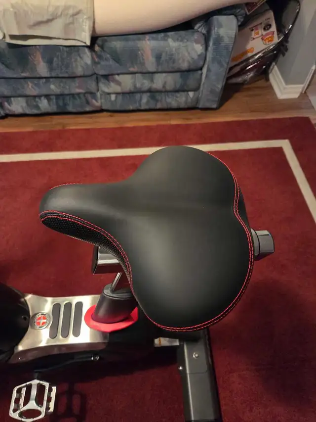 Schwinn Fitness Airdyne Pro Bike - Photo 6