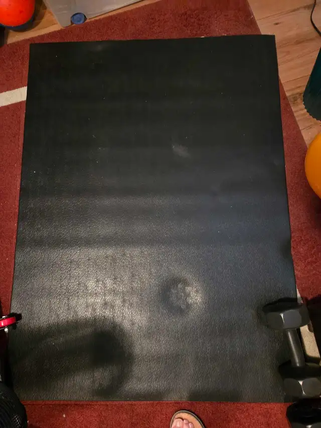 Schwinn Fitness Airdyne Pro Bike - Photo 9