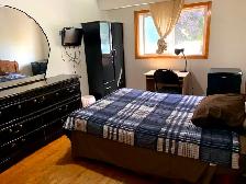 Room Available Close to Centennial College Progress Campus - Photo 2