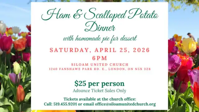 Ham and Scalloped Potato Dinner