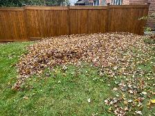 Lawn Maintenance - Photo 4