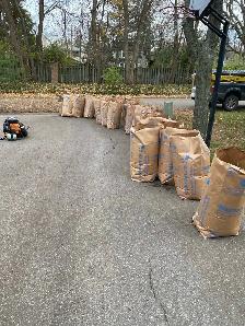 Lawn Maintenance - Photo 5