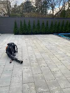 Lawn Maintenance - Photo 7