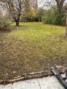 Lawn Maintenance - Photo 10