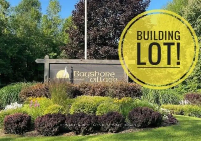 Build your dream home on this 100X200ft lot! - Photo 8