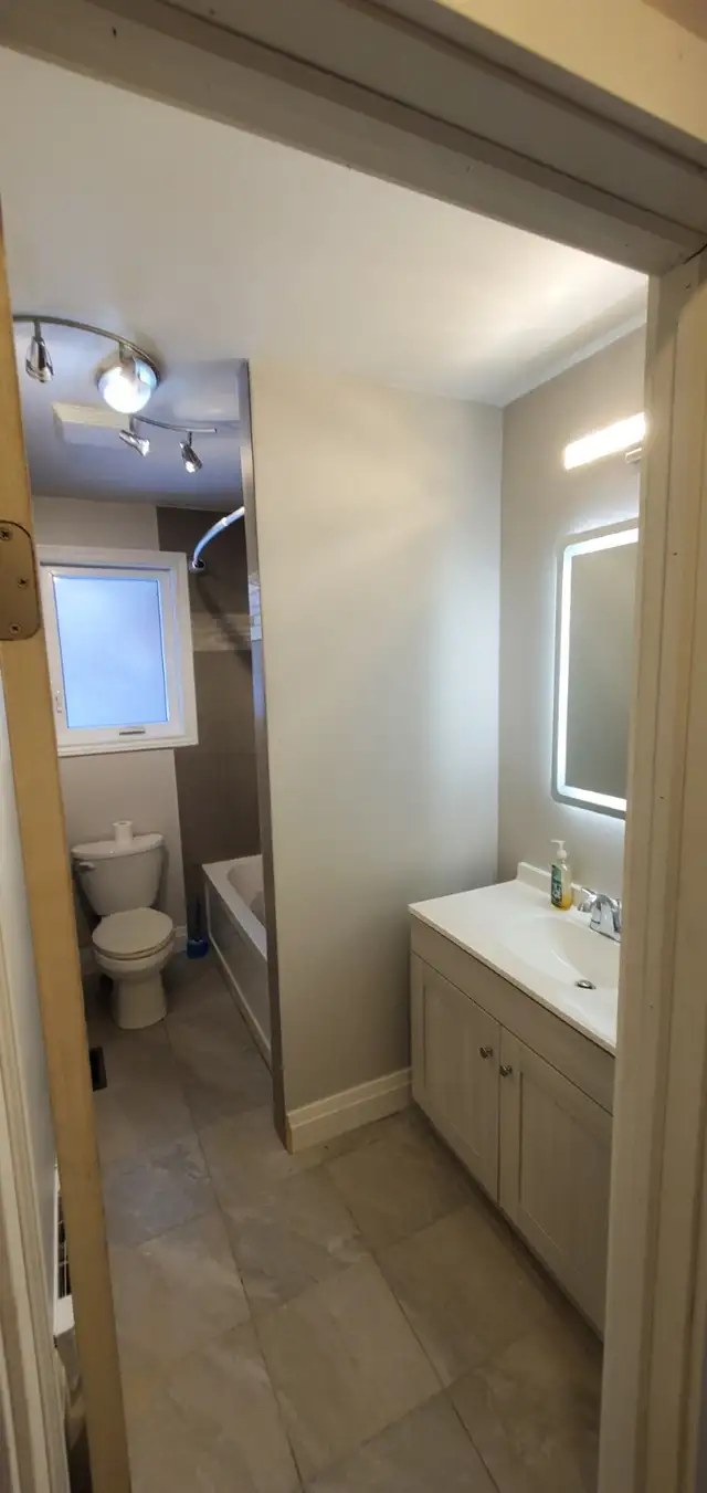 2 Plus Bedroom apartment in 4plex with full basement - Photo 6