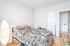 Furnished 2BR Summer Apartment – 5 Min Walk to McGill | May–Aug - Photo 8