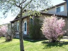 Room near Rundle C Train NE and Mall - Photo 4